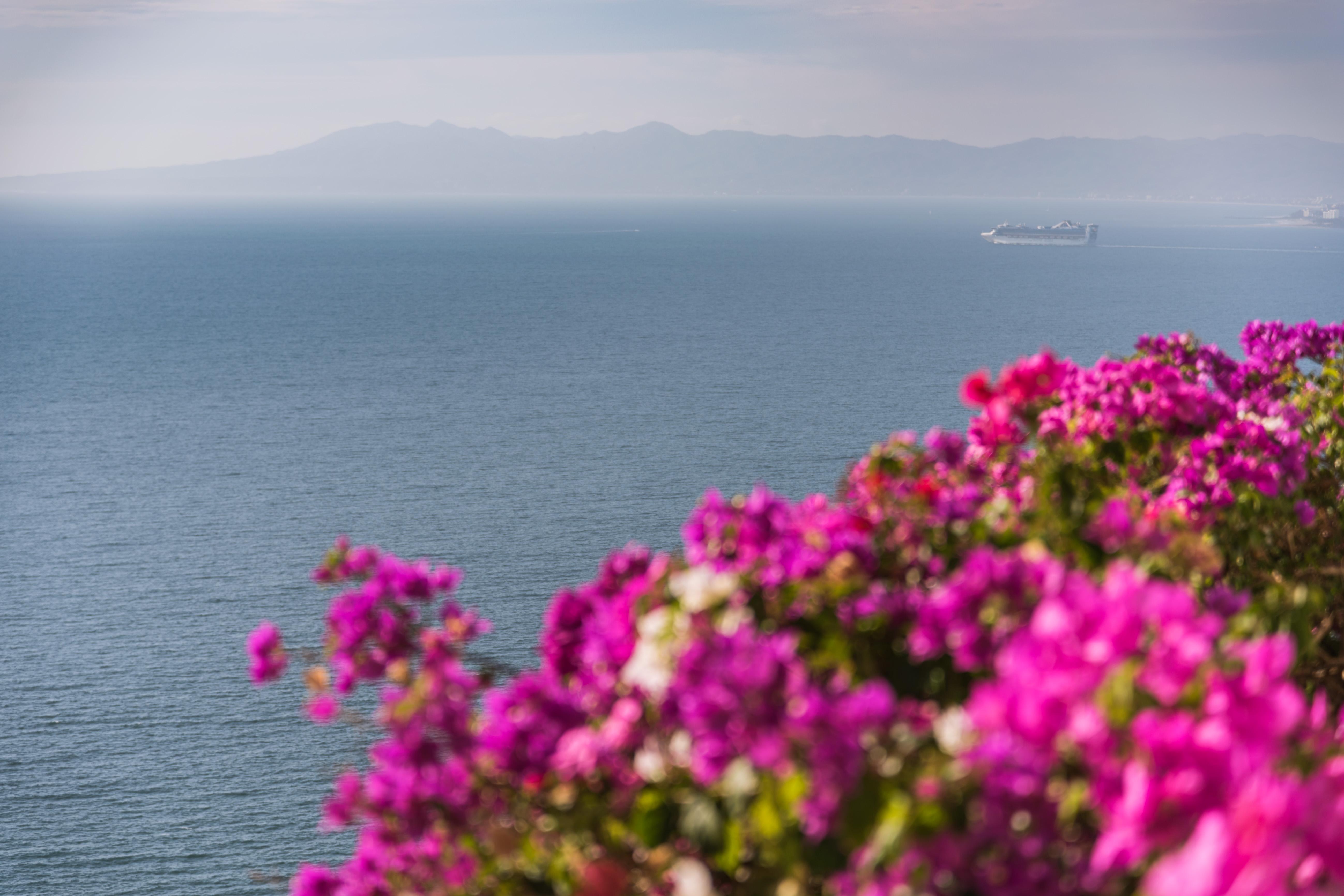 Grand Miramar All Luxury Suites & Residences (Adults Only) Puerto Vallarta Exterior foto