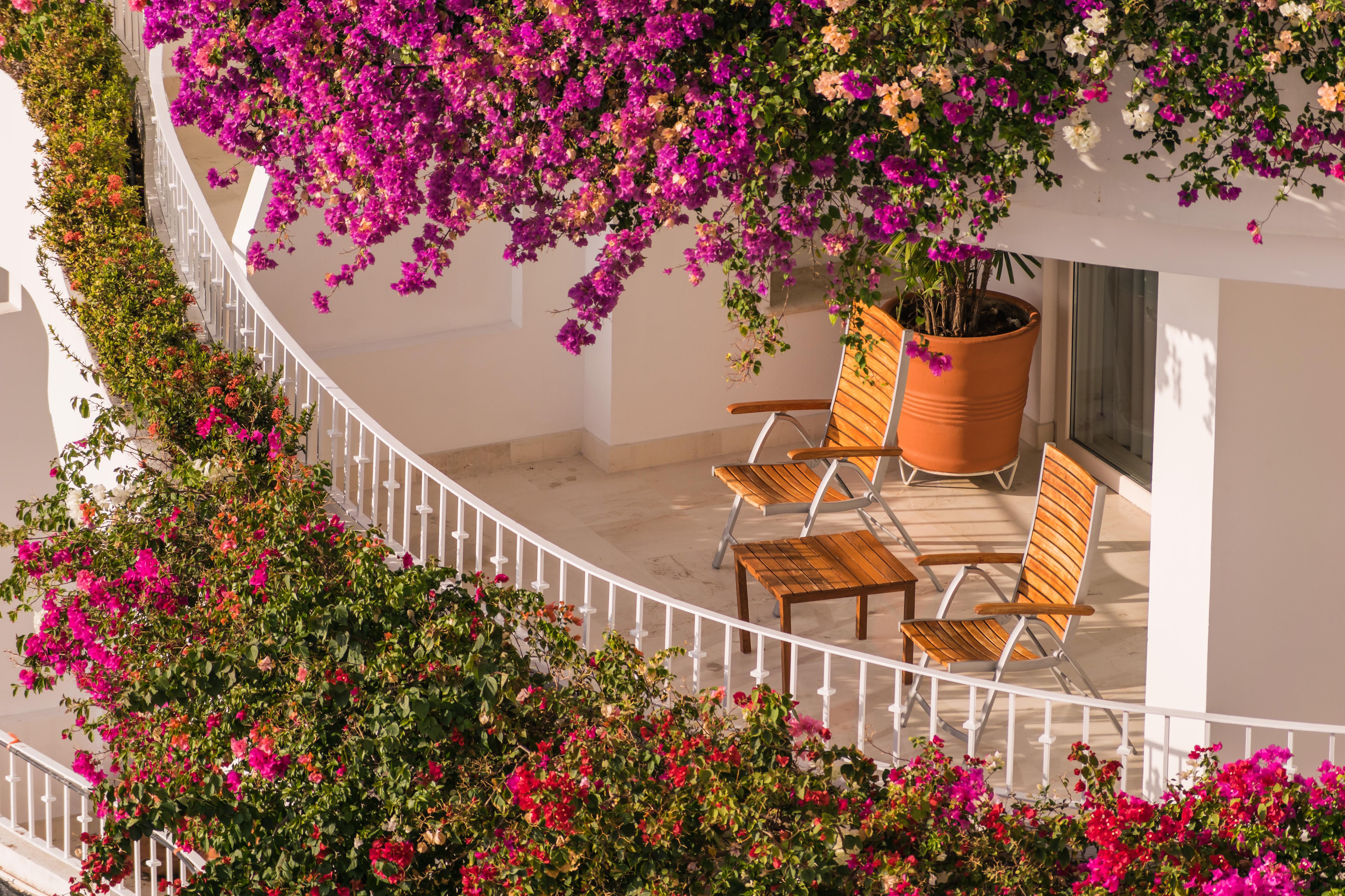 Grand Miramar All Luxury Suites & Residences (Adults Only) Puerto Vallarta Exterior foto