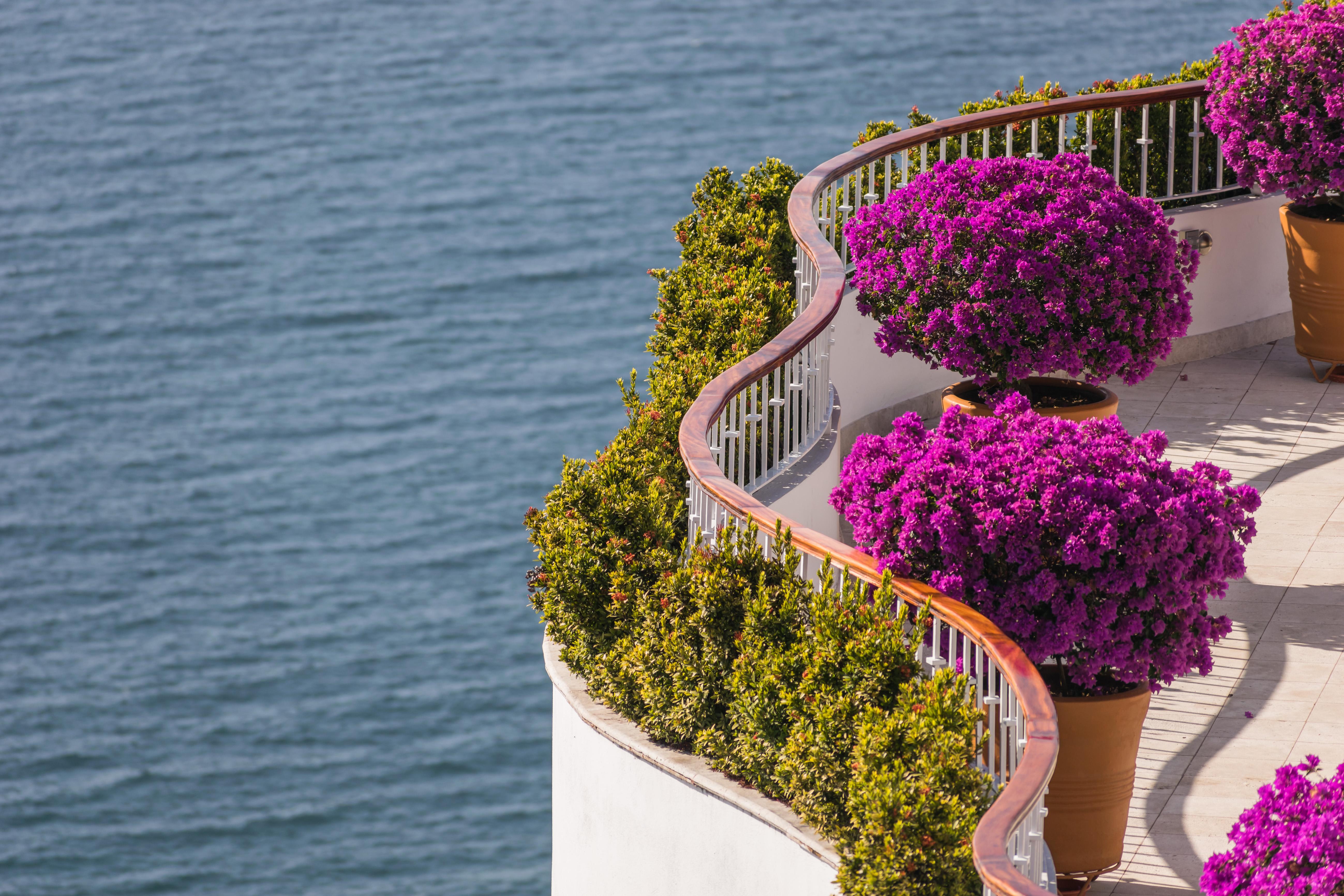 Grand Miramar All Luxury Suites & Residences (Adults Only) Puerto Vallarta Exterior foto